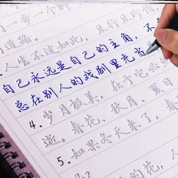Каллиграфия 6шт 3D Китайские Иероглифы Многоразового Использования Groove Тетрадь Для Каллиграфии Стираемая ручка Learn hanzi Adults Art Writing Books