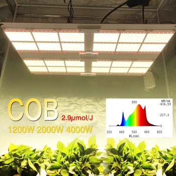 COB 1200W 2000W 4000W LED Grow Light Full Spectrum Mix 660nm Dimmable Meanwell Drive Коммерческое Комнатное Медицинское Растение, овощ и цветок